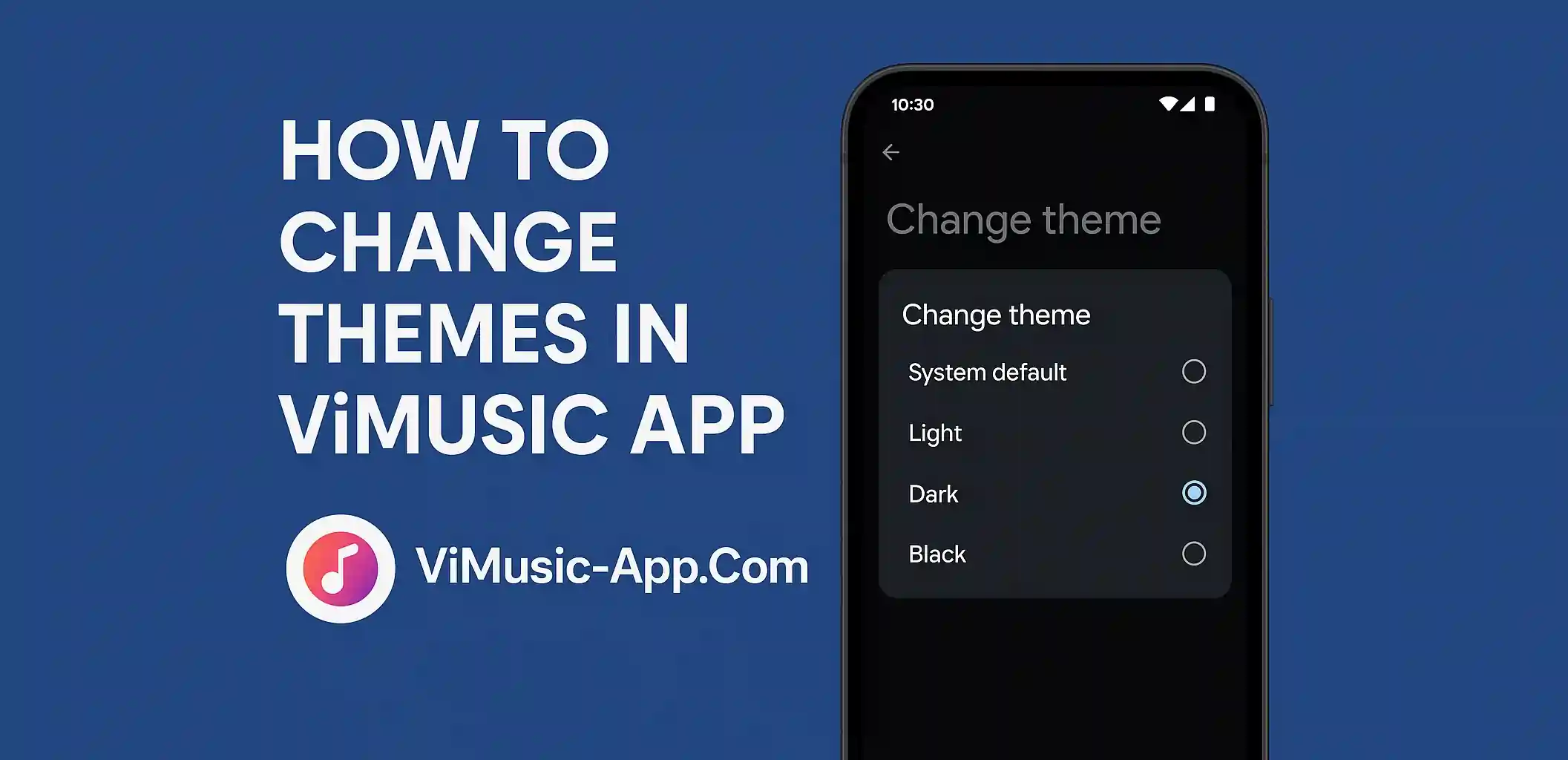How to Change Themes in ViMusic App
